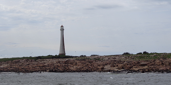 punta del este tour leões marinhos