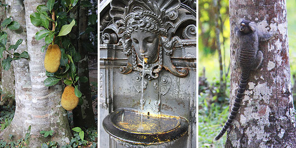 jardim botânico do rio de janeiro