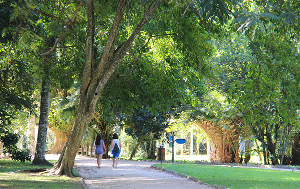 jardim botânico do rio de janeiro