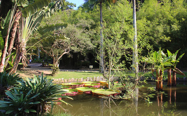 jardim botânico do rio de janeiro