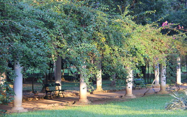 jardim botânico do rio de janeiro