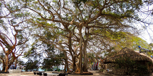 Areas-comuns-perto-do-restaurante-isla-del-rosario-colombia-relato-miriam