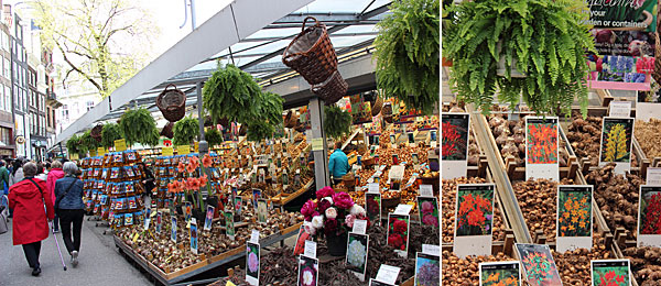 Amsterdã: Mercado de Flores