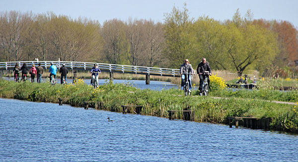 Kinderdijk