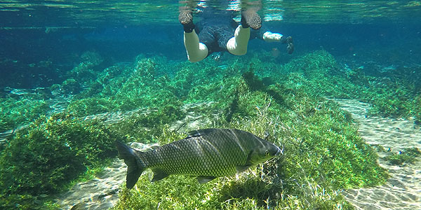 rio da prata bonito