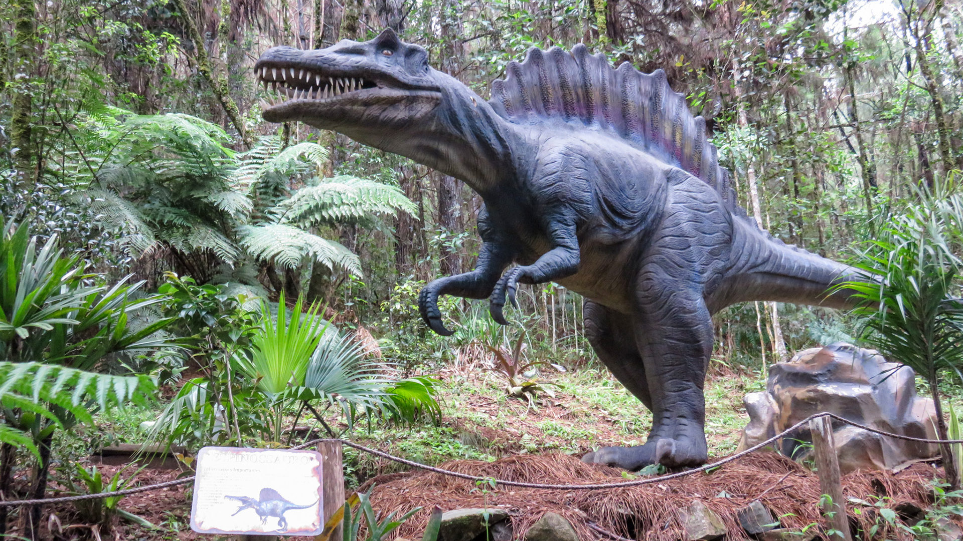 O que fazer em Canela: Vale dos Dinossauros