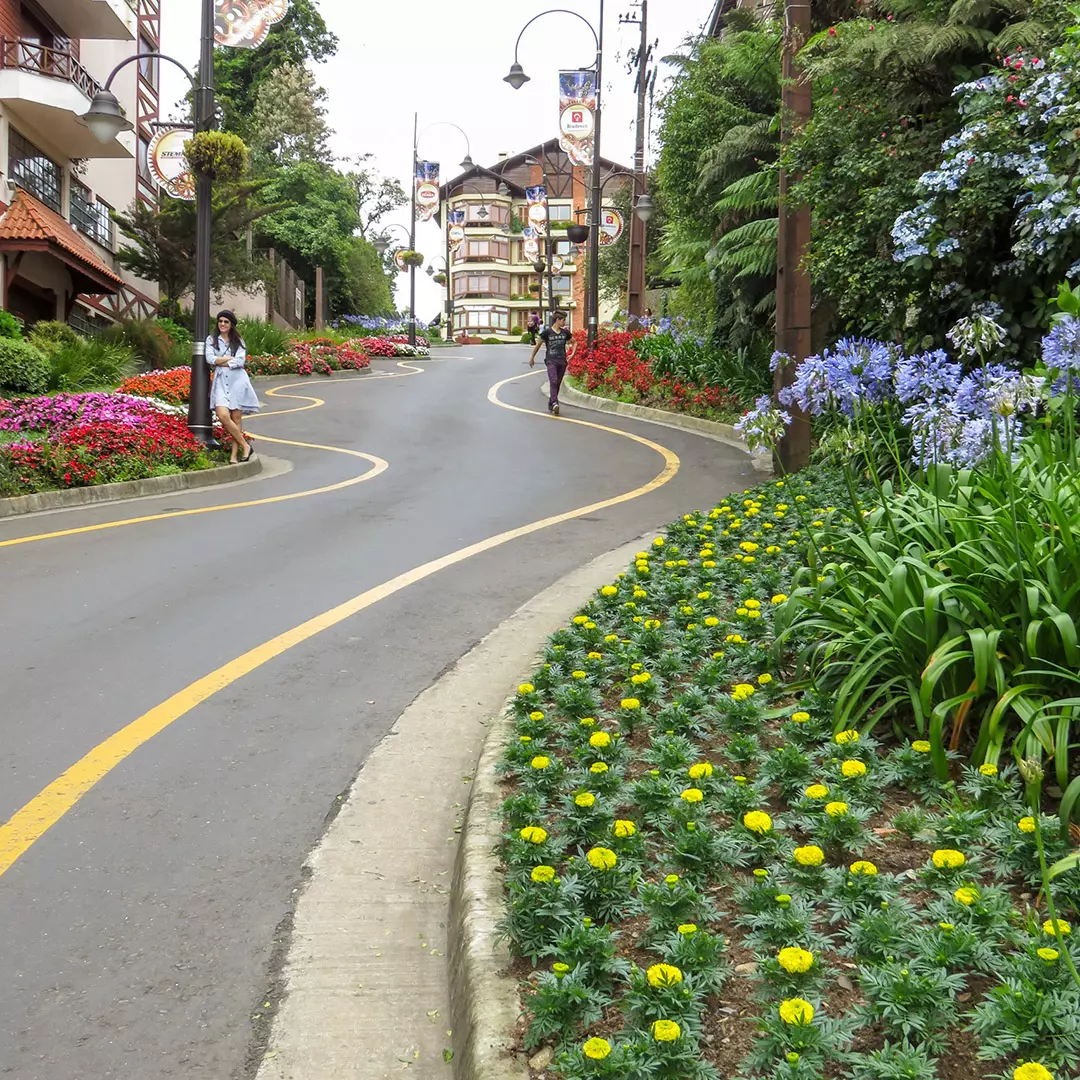 O que fazer em Gramado: Rua Torta