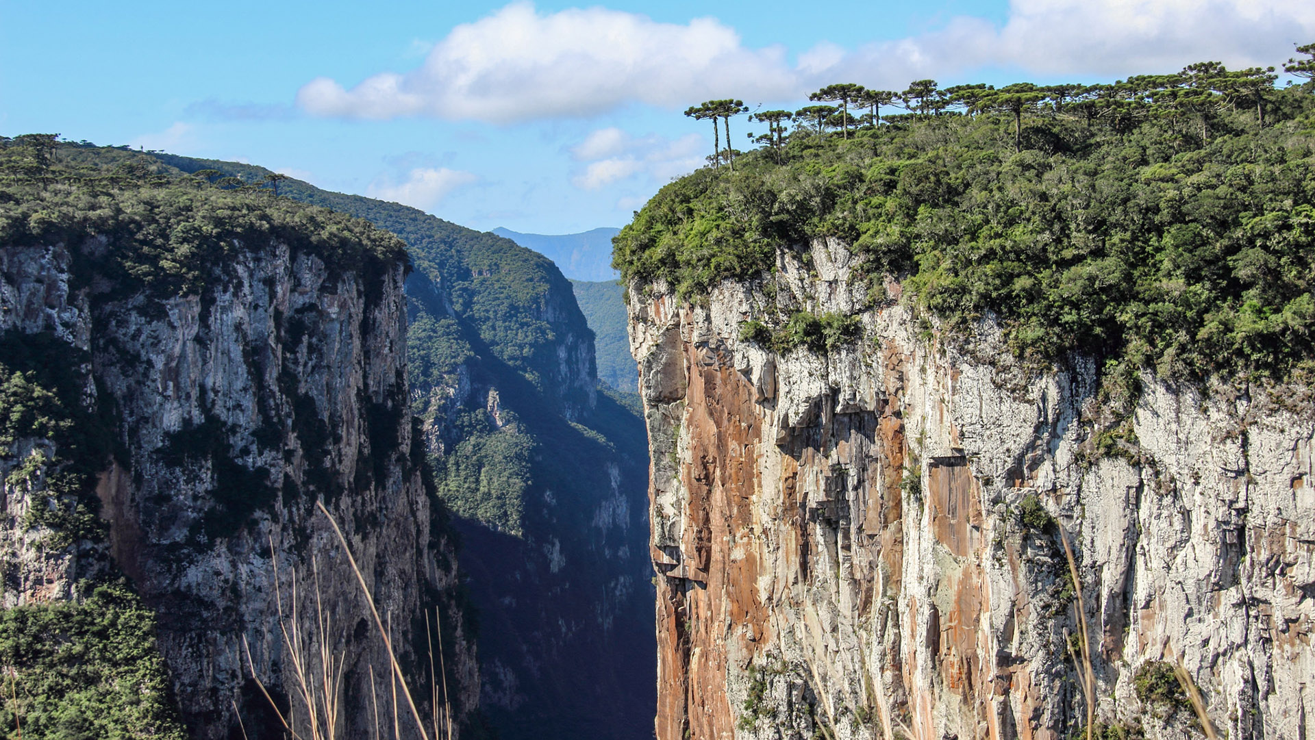 Bate-voltas de Gramado: cânion do Itaimbezinho, Cambará do Sul