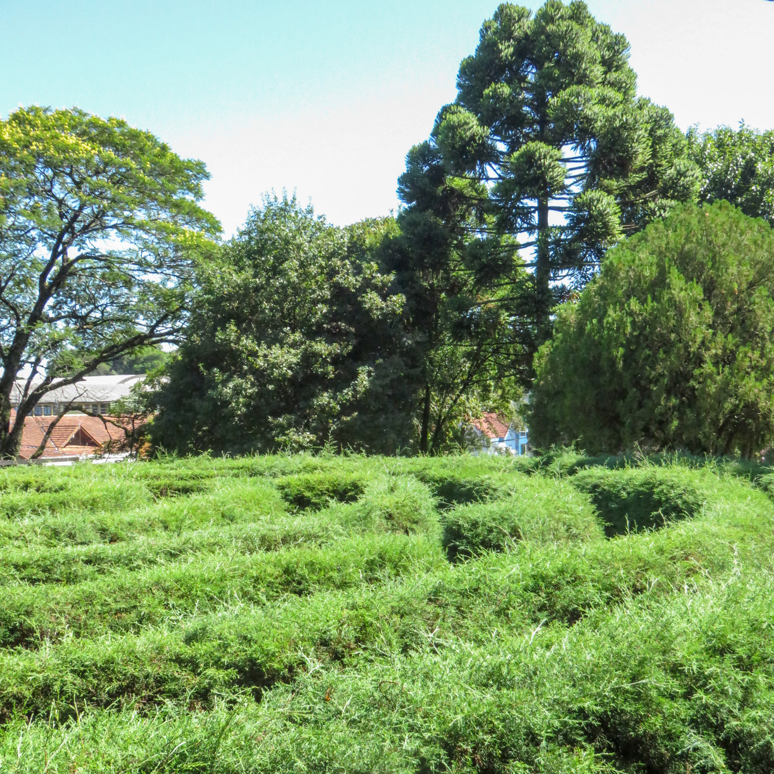 Bate-volta de Gramado a Nova Petrópolis