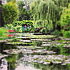 Monet em Giverny