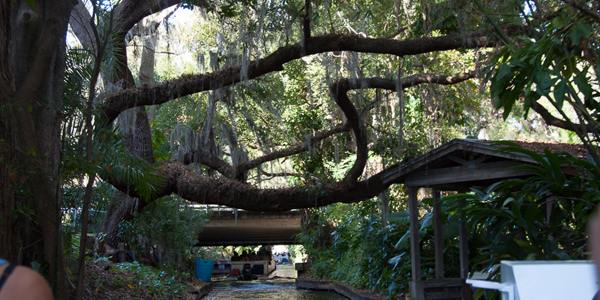 Winter Park: Lago Osceola