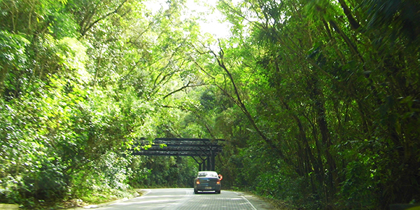 estrada-paraty-cunha-parque-bocaina