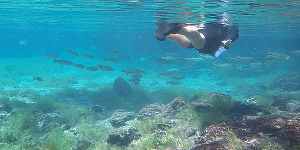 flutuação nascente azul bonito