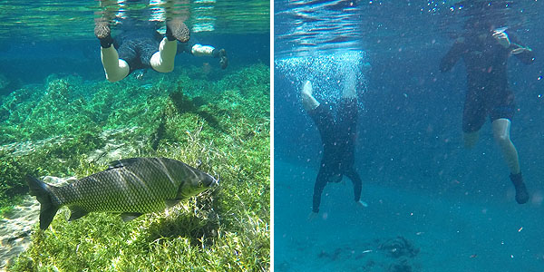 flutuação rio da prata bonito