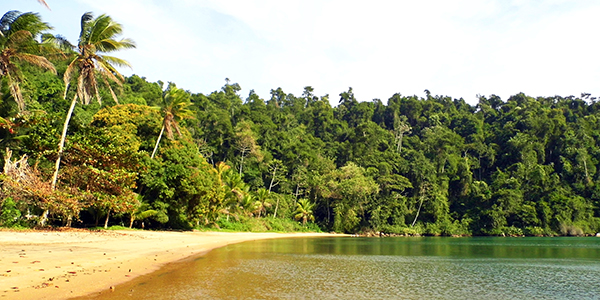 Petrópolis e Paraty: Jurumirim