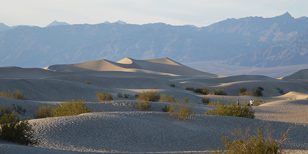 Death Valley -Sand Dunes