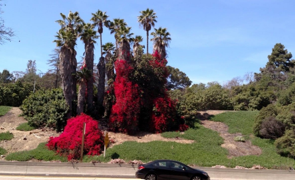 Balboa Park