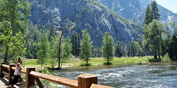 Yosemite - Meadow 2