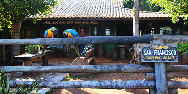 fazenda san francisco bonito pantanal