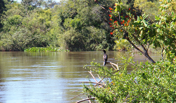 fazenda san francisco bonito pantanal