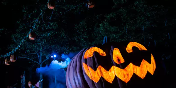 Halloween: o que você precisa saber sobre o 'Dia das Bruxas