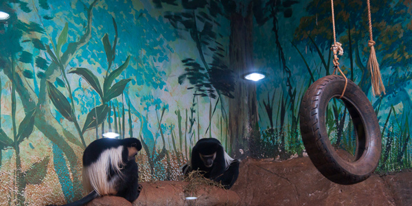 aquario-sao-paulo-macacos