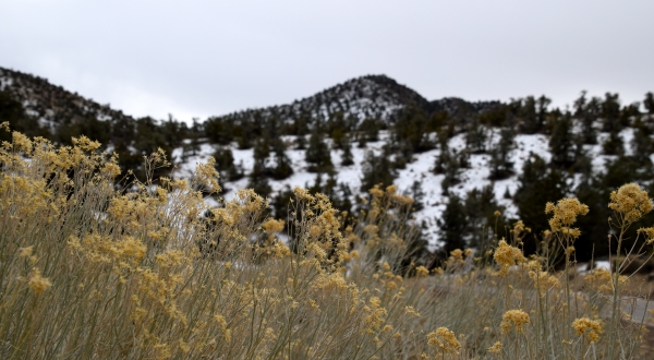 death-valley-neve2