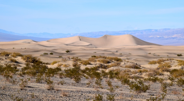 mesquite-flats-sand-dunes2