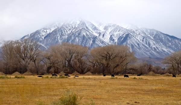 sierra-nevada-vista-estrada