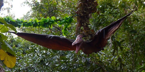 zoologico-sao-paulo-zoo-safari-pterodactilo