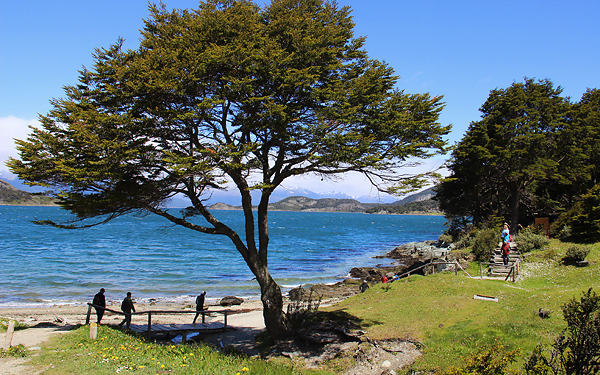 parque nacional tierra del fuego