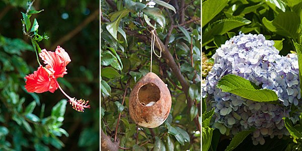 Dica de Brotas: natureza