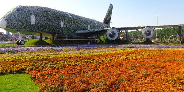 Dubai Dicas: Miracle Garden, em Dubai