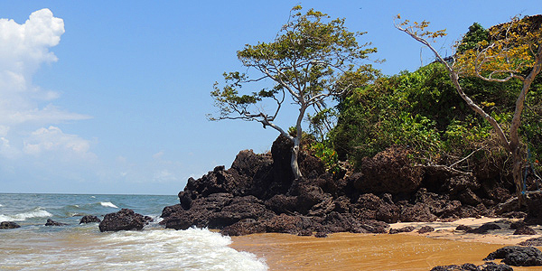 Marajó dicas