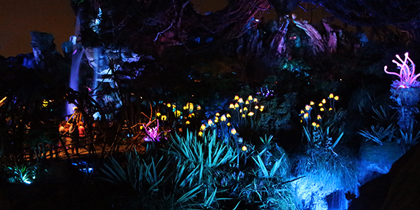 Pandora, o mundo de Avatar, Animal Kingdom