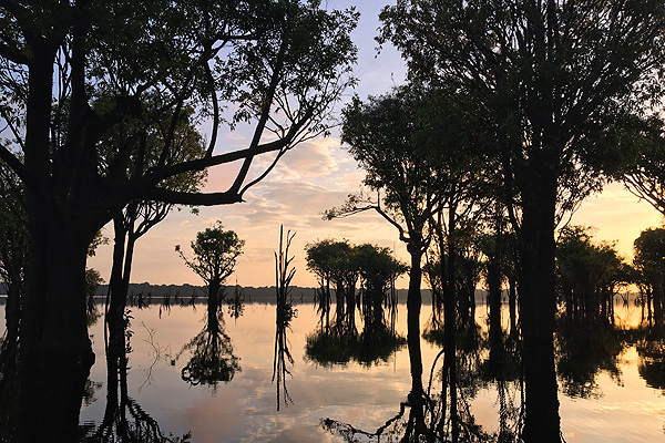 anavilhanas-relato-Amanhecer-no-Rio-Negro-Reflexo-mata