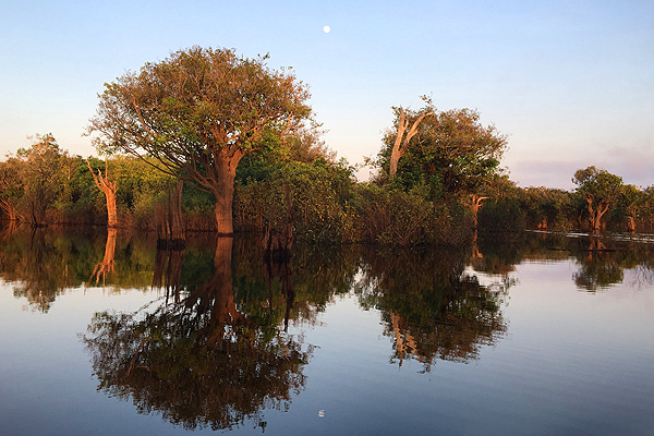 anavilhanas-relato-Amanhecer-no-Rio-Negro-Reflexo