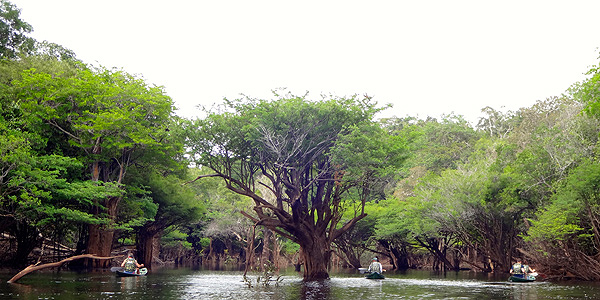 anavilhanas-relato-Canoagem-igarape