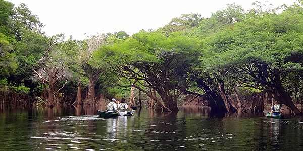 anavilhanas-relato-Canoagem-vista-casais