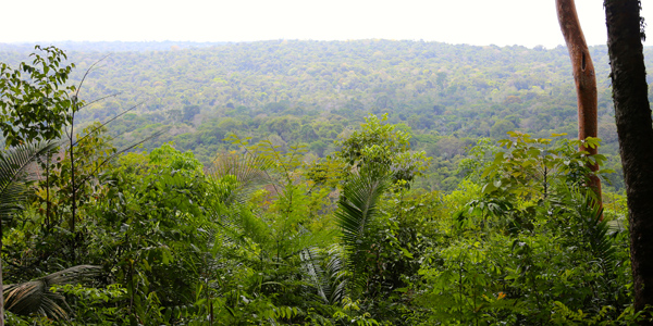 67alter-do-chao-Mirante-da-floresta