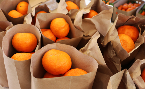 bondi beach market sydney