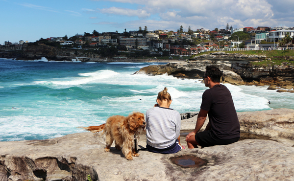 entre bondi e coogee beach