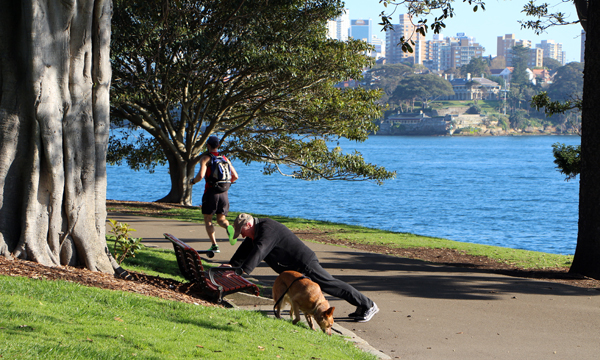 jardim botanico sydney