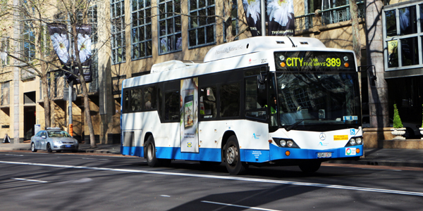 transporte sydney onibus