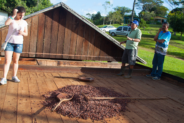 ilheus-roteiro-fazenda-cacau-barcaca