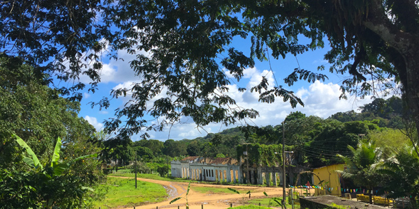 ilheus-roteiro-fazenda-cacau-vista-rio-braco