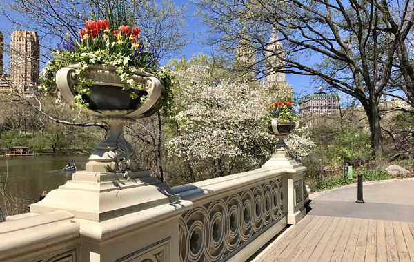 central park bow bridge