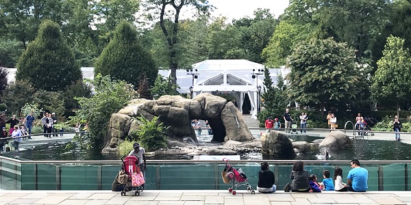 central park zoo