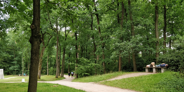 Amsterdã: bate-volta aos jardins e Van Goghs do Museu Kröller-Müller 9