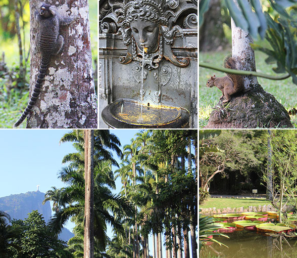 O que fazer no Rio de Janeiro: Jardim Botânico